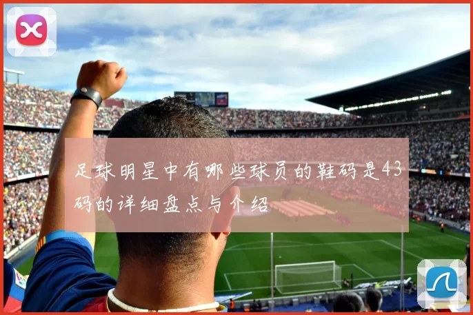 足球明星中有哪些球员的鞋码是43码的详细盘点与介绍