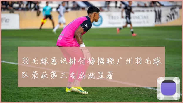 羽毛球意识排行榜揭晓广州羽毛球队荣获第三名成就显著