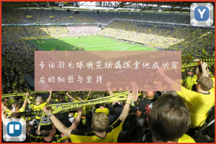 专访羽毛球明星杨磊探索他成功背后的秘密与坚持