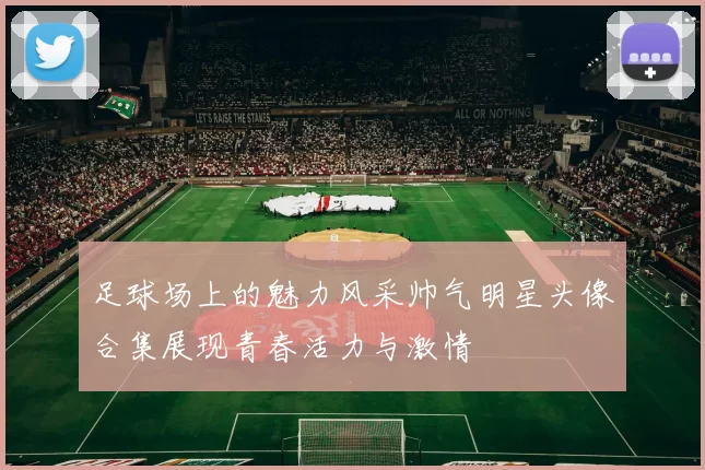 足球场上的魅力风采帅气明星头像合集展现青春活力与激情