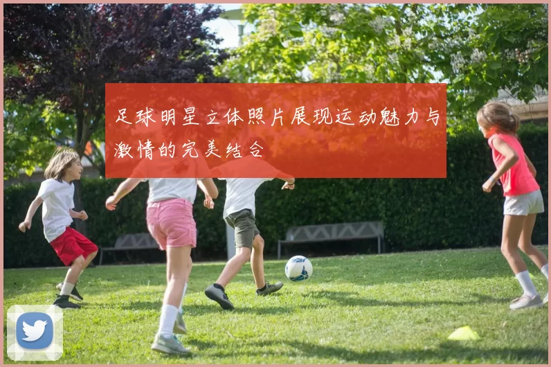 足球明星立体照片展现运动魅力与激情的完美结合