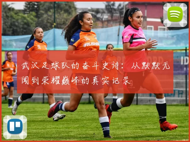 武汉足球队的奋斗史诗：从默默无闻到荣耀巅峰的真实记录