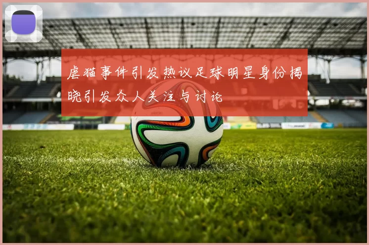 虐猫事件引发热议足球明星身份揭晓引发众人关注与讨论