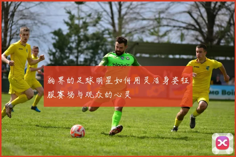 狗界的足球明星如何用灵活身姿征服赛场与观众的心灵