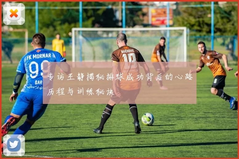专访王静揭秘排球成功背后的心路历程与训练秘诀