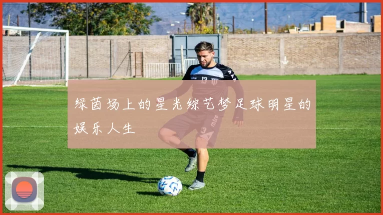 绿茵场上的星光综艺梦足球明星的娱乐人生
