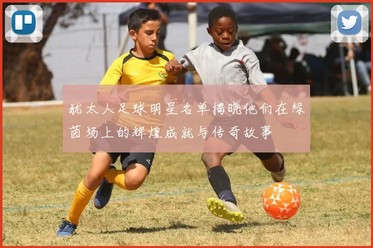 犹太人足球明星名单揭晓他们在绿茵场上的辉煌成就与传奇故事