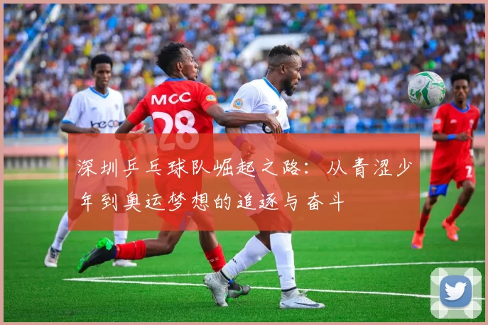 深圳乒乓球队崛起之路：从青涩少年到奥运梦想的追逐与奋斗