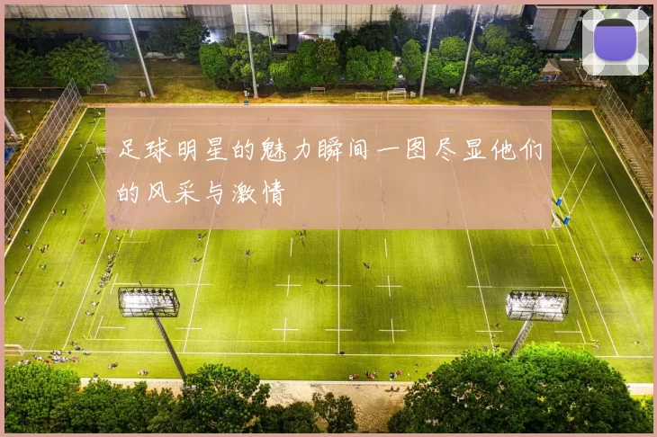 足球明星的魅力瞬间一图尽显他们的风采与激情