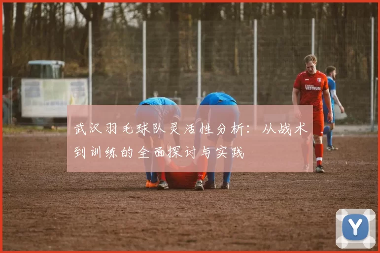 武汉羽毛球队灵活性分析：从战术到训练的全面探讨与实践