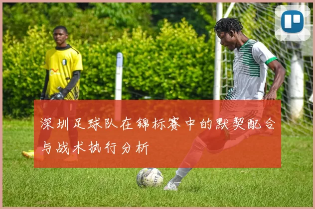 深圳足球队在锦标赛中的默契配合与战术执行分析