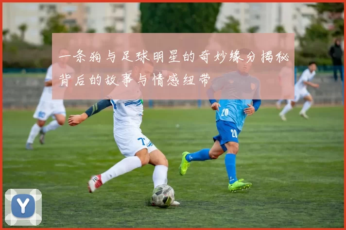 一条狗与足球明星的奇妙缘分揭秘背后的故事与情感纽带