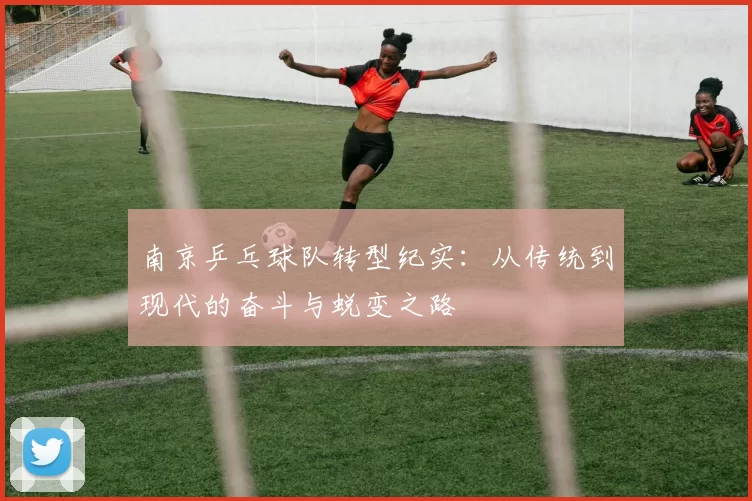 南京乒乓球队转型纪实：从传统到现代的奋斗与蜕变之路