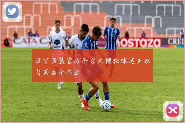 辽宁男篮官方平台大揭秘球迷互动与周边全在这