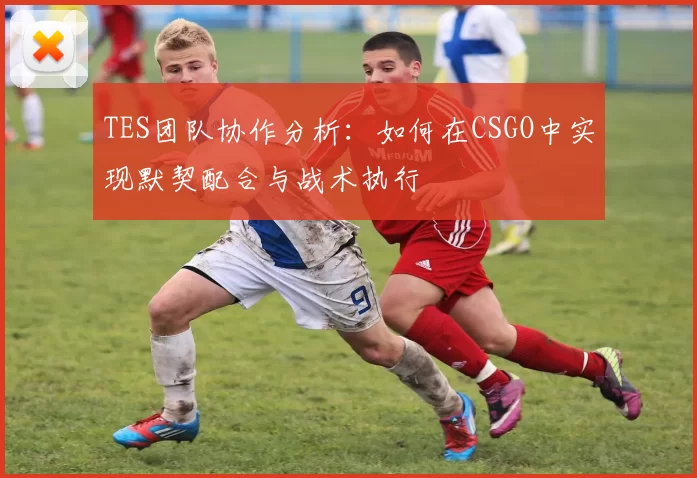 TES团队协作分析：如何在CSGO中实现默契配合与战术执行