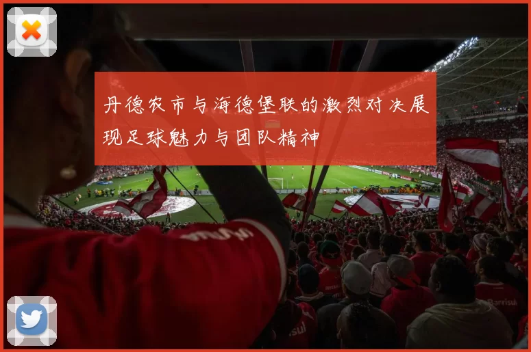 丹德农市与海德堡联的激烈对决展现足球魅力与团队精神