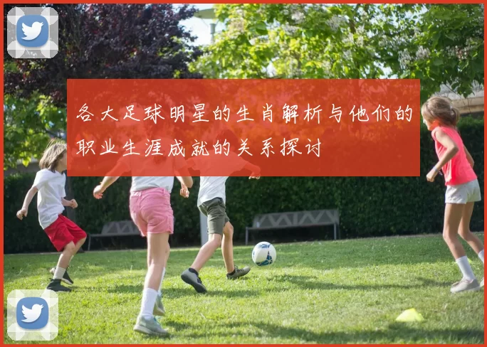 各大足球明星的生肖解析与他们的职业生涯成就的关系探讨