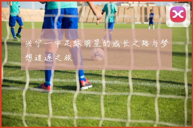 兴宁一中足球明星的成长之路与梦想追逐之旅
