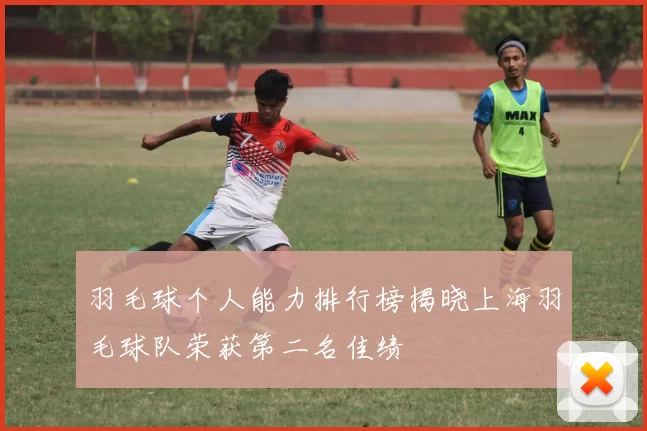 羽毛球个人能力排行榜揭晓上海羽毛球队荣获第二名佳绩