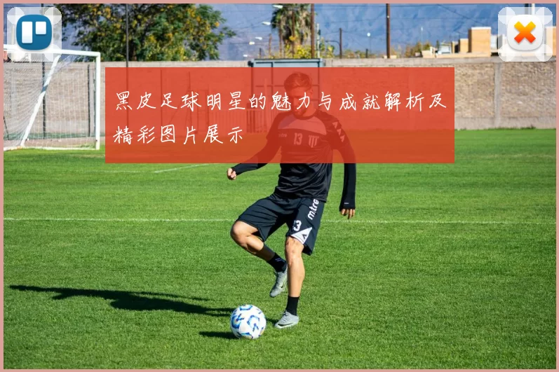 黑皮足球明星的魅力与成就解析及精彩图片展示