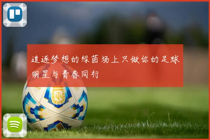 追逐梦想的绿茵场上只做你的足球明星与青春同行