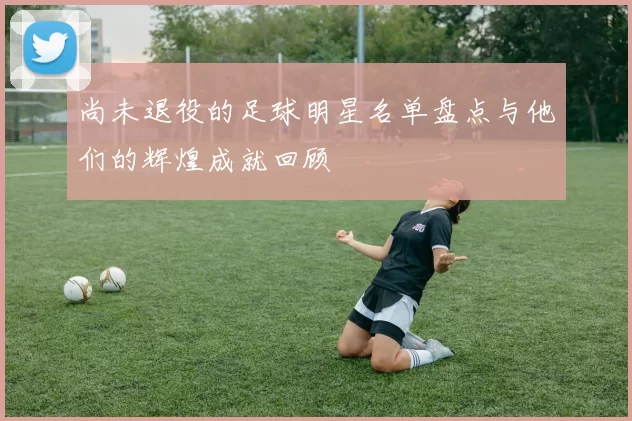 尚未退役的足球明星名单盘点与他们的辉煌成就回顾