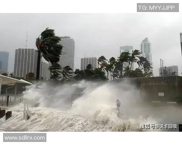 全球气候变化加剧 国际社会呼吁加强合作应对环境危机 全球气候变化加剧 国际社会呼吁加强合作应对环境危机