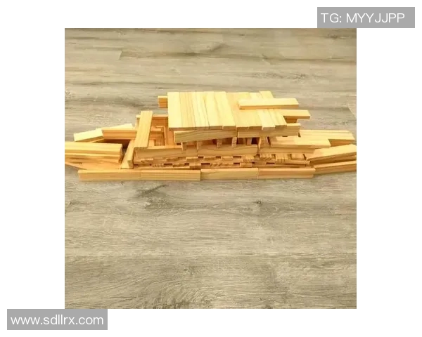 探索儿童玩具的奇妙世界：从益智玩具到创意构建，激发孩子无限想象力