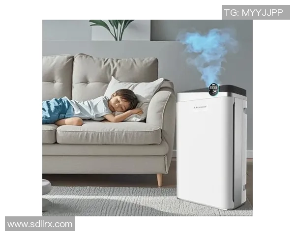 提升居家空气质量选择最佳空气净化器的全面指南与使用技巧 提升居家空气质量选择最佳空气净化器的全面指南与使用技巧