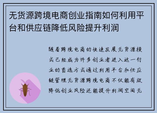 无货源跨境电商创业指南如何利用平台和供应链降低风险提升利润